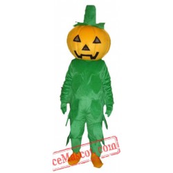 Halloween Pumpkin Mascot Costume