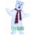 Polar Bear Mascot Costumes