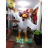 Rooster Animal Mascot Character Cosplay Costume