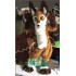 Brown Long Fur Wolf Dog Fursuit Mascot Furry Costume