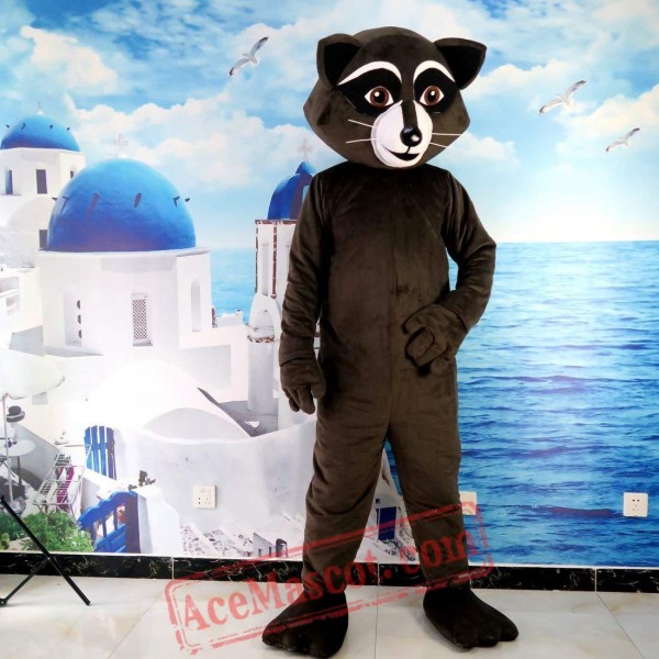 College Raccoon Mascot Costume  Mascot costumes, Mascot, Cartoon mascot  costumes