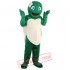 Green Turtle Mascot Costume for Adult