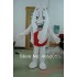 Cartoon Costume Surf Board Mascot Costume Character