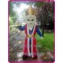 King Mascot Costume