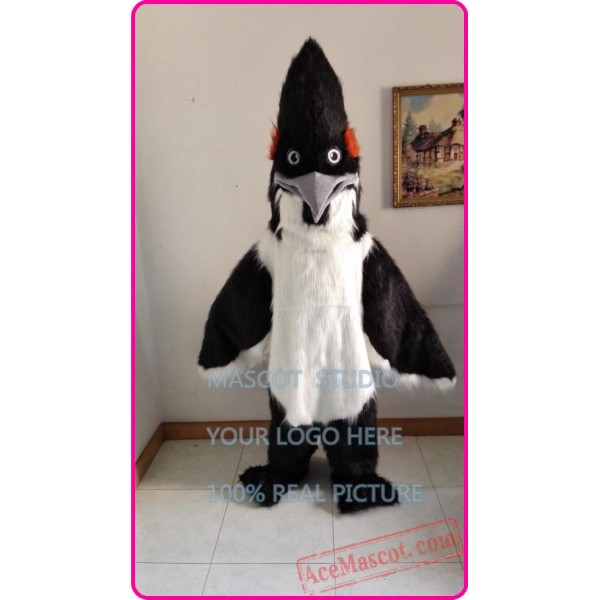 Long Plush Roadrunner Bird Mascot Costume