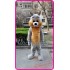 Grey Squirrel Mascot Costume