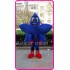 Blue Star Mascot Costume