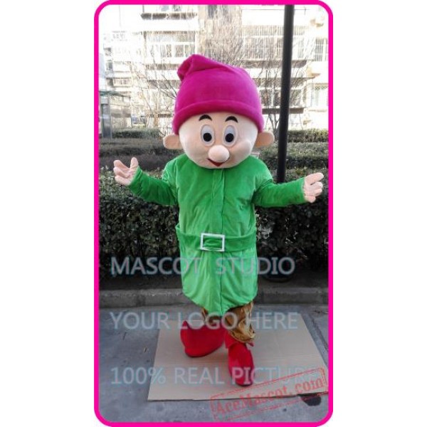 Green Dwarf Elf Mascot Costume