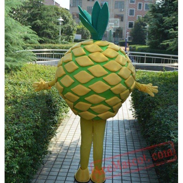 Pineapple Mascot Costume Fruit Cartoon