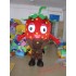 Red Strawberry Mascot Costume