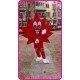 Maple Leaf Mascot Costume