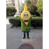 Maize Corn Mascot Costume