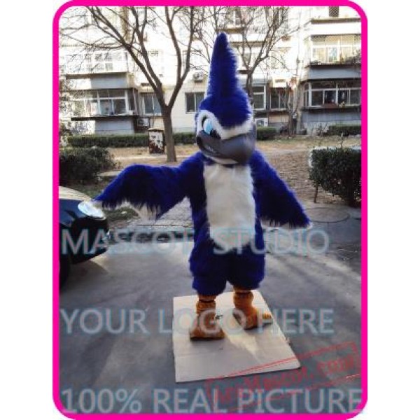 Blue Jay Mascot Bird Costume