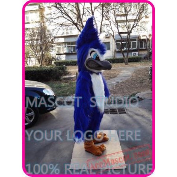 Blue Jay Mascot Bird Costume