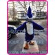 Blue Jay Mascot Bird Costume