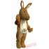 Kangaroo Mascot Costume