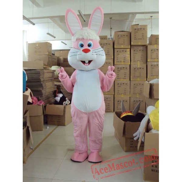 Rabbit Mascot Costume