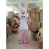 Rabbit Mascot Costume