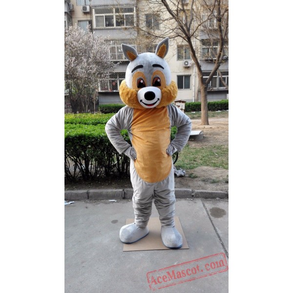 Squirrel Mascot Costume